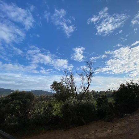 Porto-Vecchio, Luxe Et Lumiere, Stanatura Exterior foto